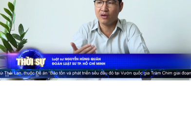 Công Ty Luật Tố Tụng Dân Sự Uy Tín