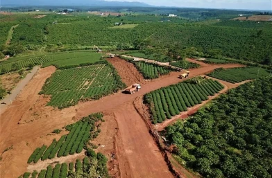 Luật sư đất đai 