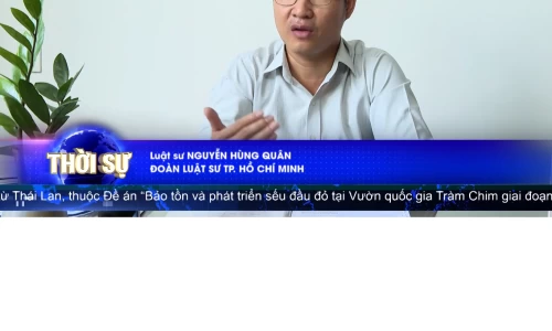 Công Ty Luật Tố Tụng Dân Sự Uy Tín