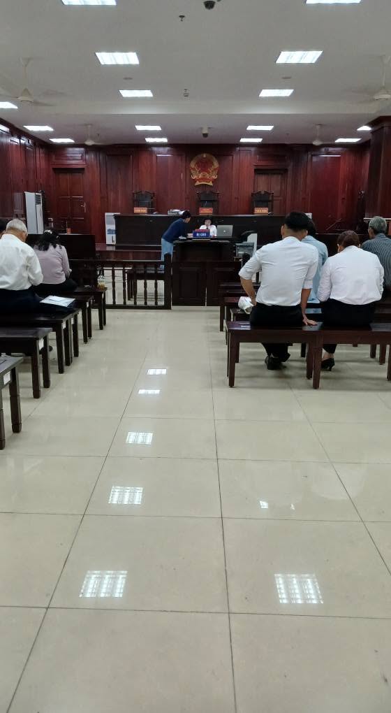 Đa dạng dịch vụ pháp lý hỗ trợ Luật Tố Tụng