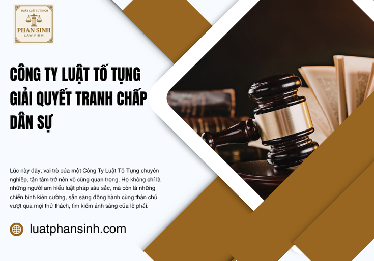 Đồng Hành Cùng Công Ty Luật Tố Tụng Trong Mọi Vụ Việc