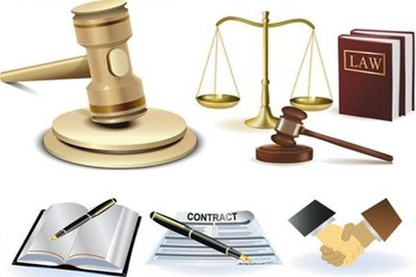 Công Ty Luật Phan Sinh – Người Đồng Hành Đáng Tin Cậy